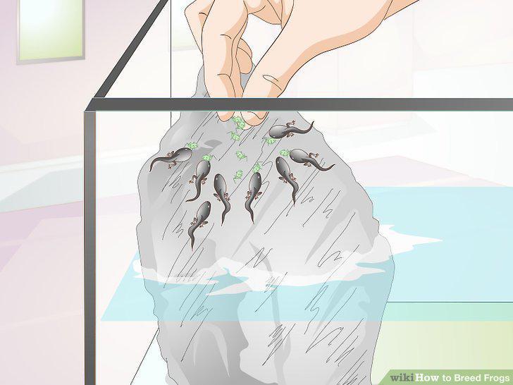 Step 6