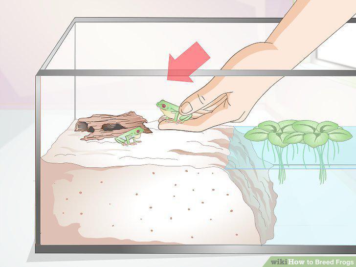Step 10