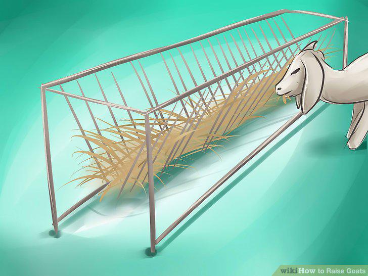 Step 11