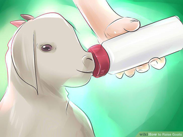 Step 14