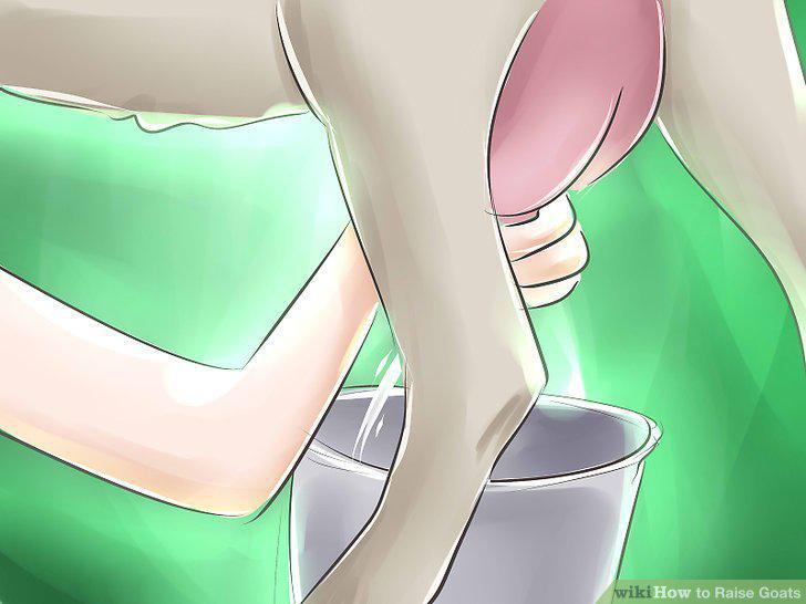 Step 16