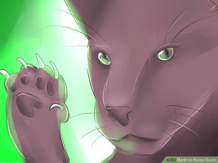 Step 17