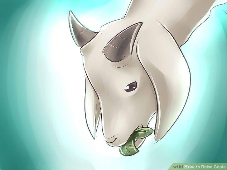 Step 10