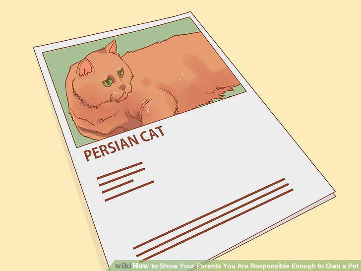 Step 12