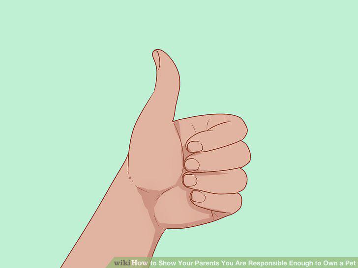 Step 14
