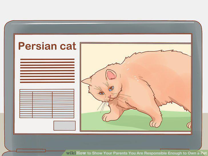 Step 5