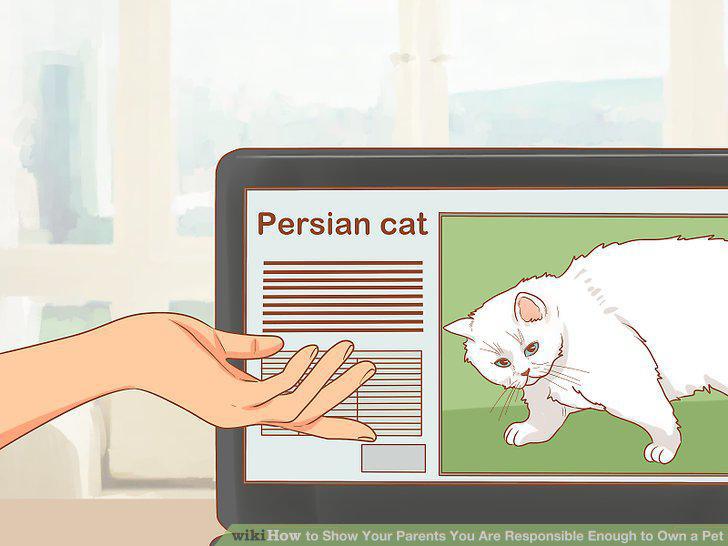 Step 9