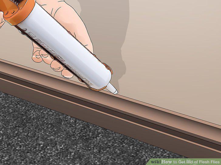 Step 11