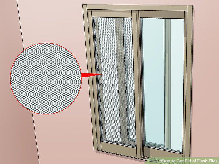 Step 12