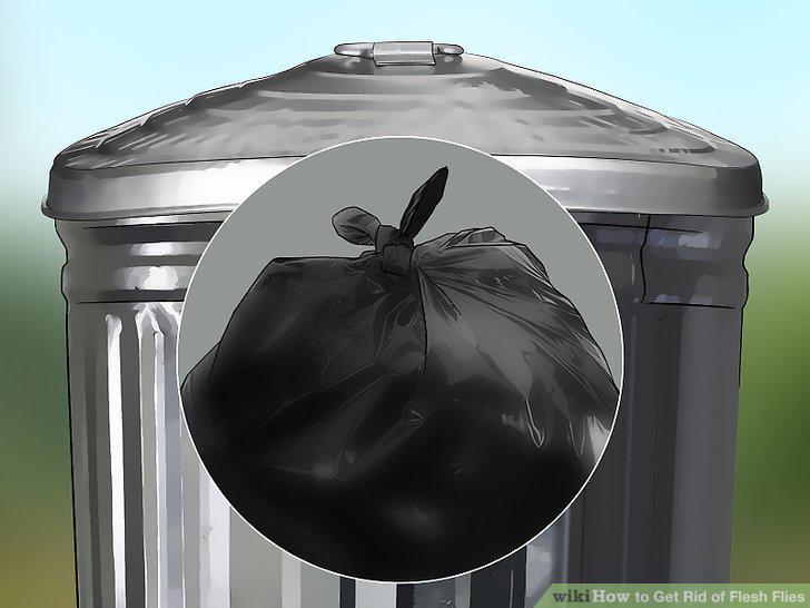 Step 13