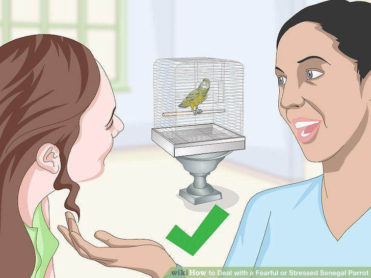 Step 12