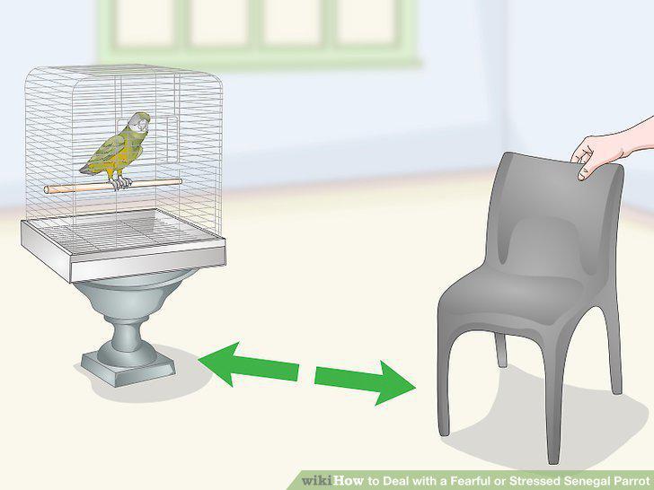 Step 13