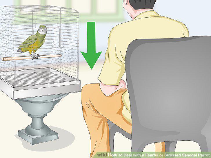 Step 15