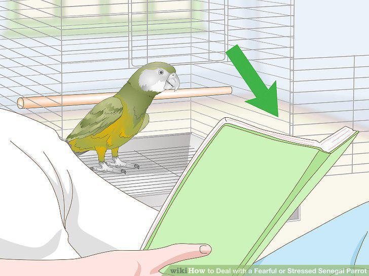 Step 16