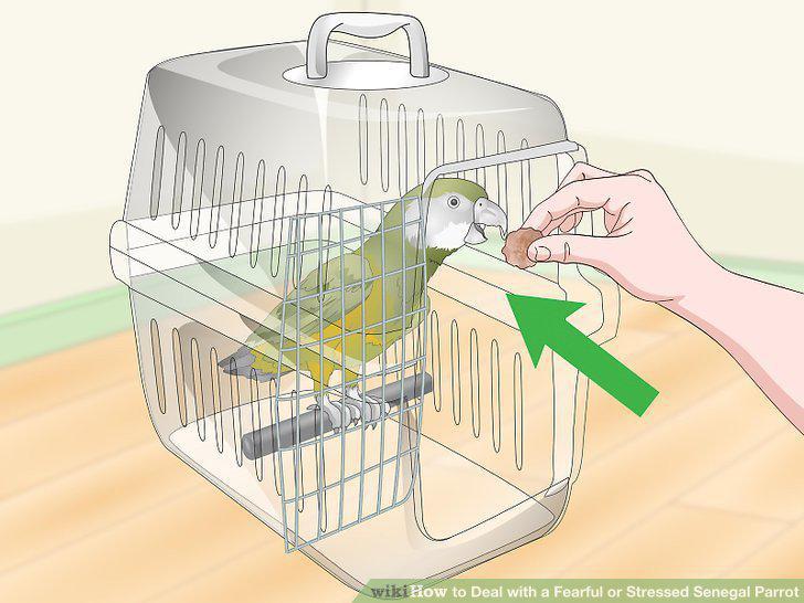 Step 17