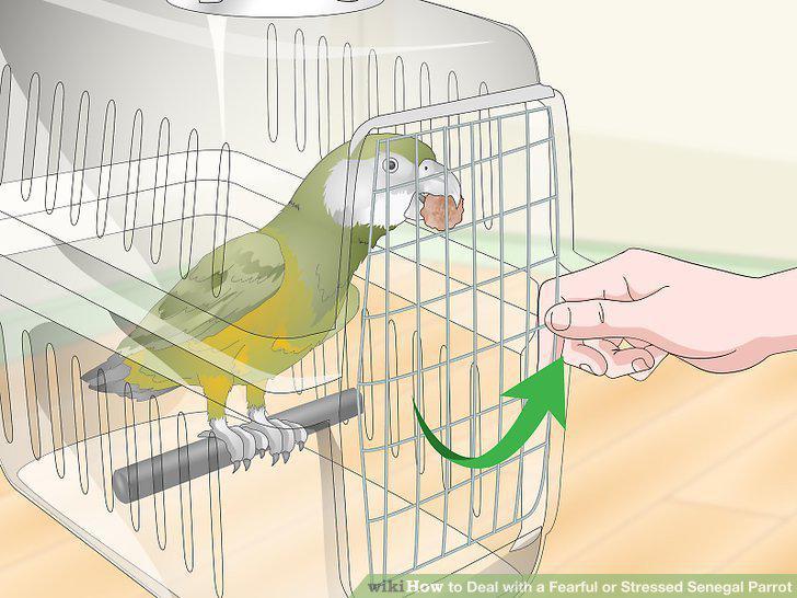 Step 18