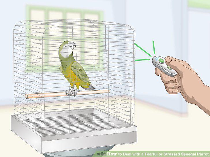 Step 8