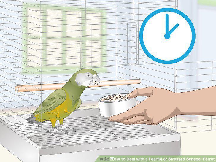 Step 9