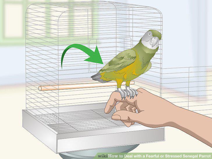 Step 10