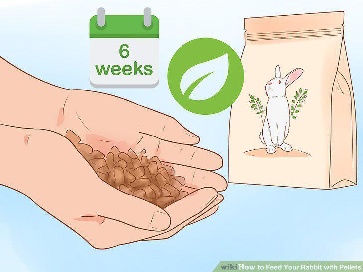 Step 11