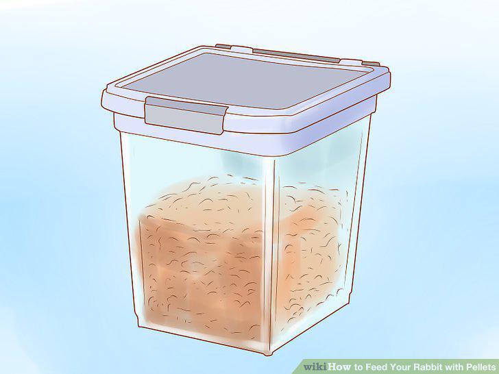 Step 12