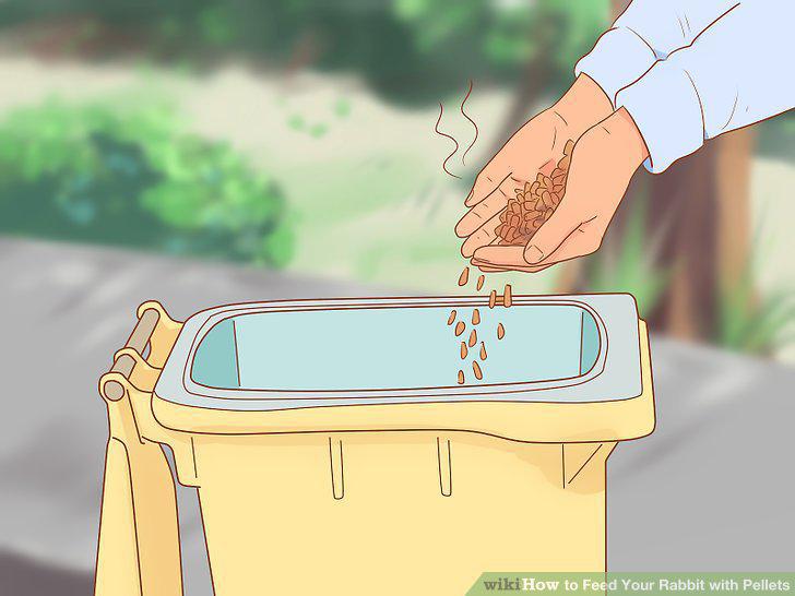 Step 13