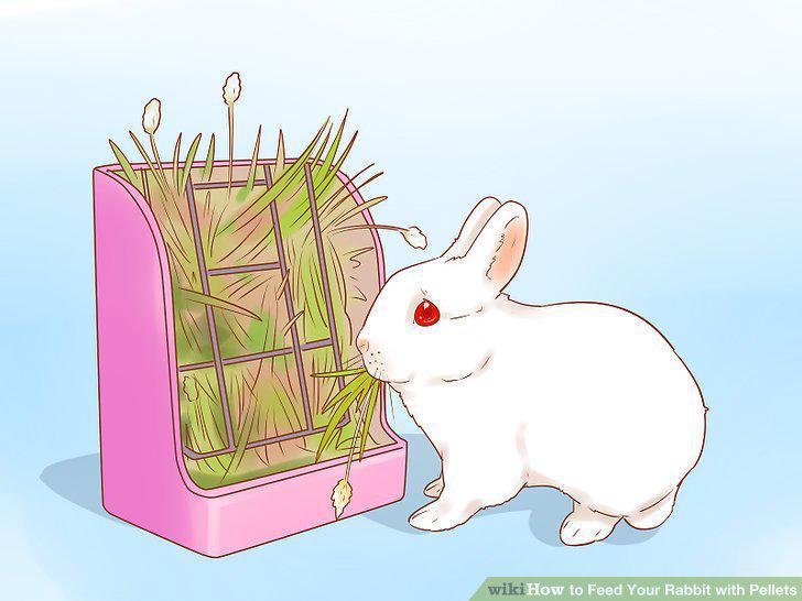 Step 14