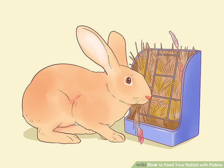 Step 15