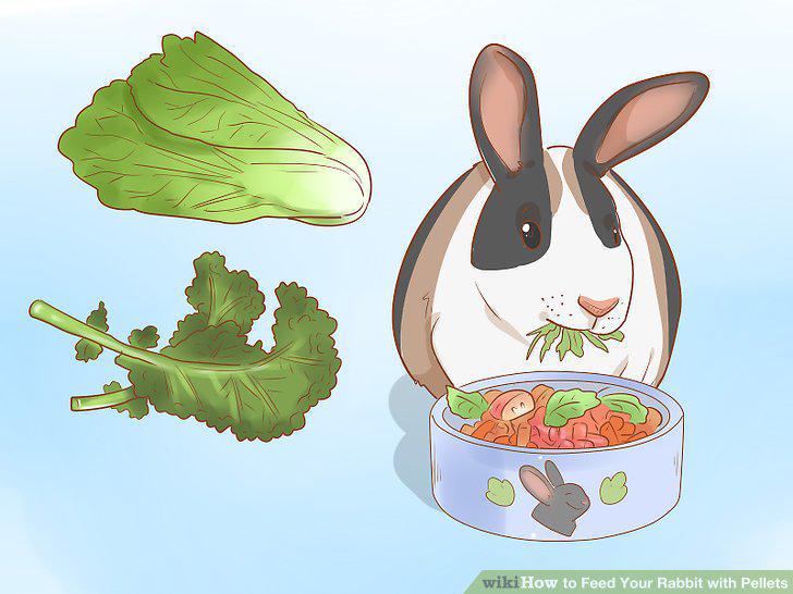 Step 16