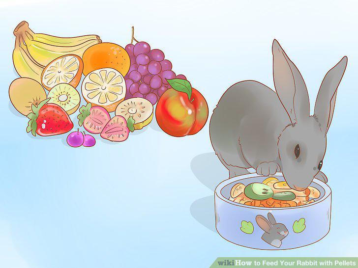 Step 17