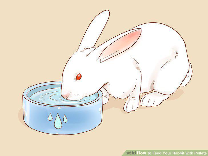 Step 18