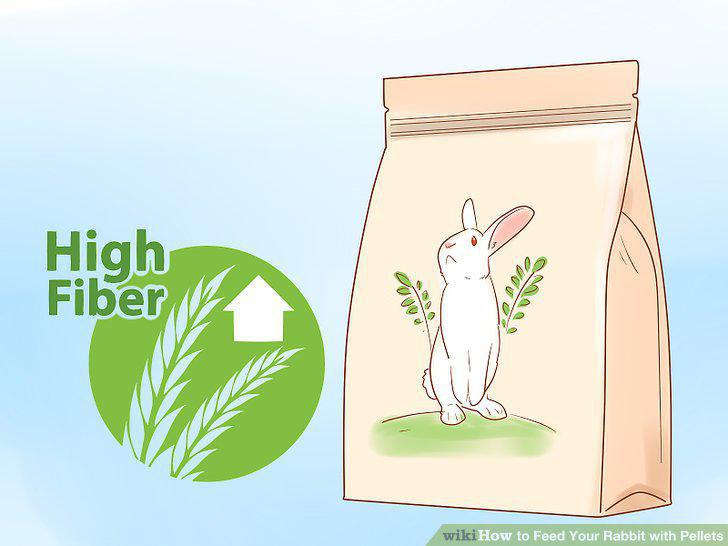 Step 5