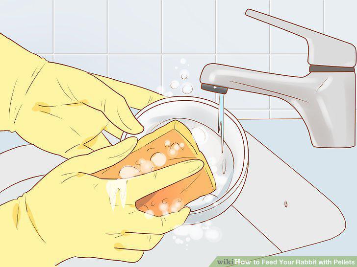 Step 9