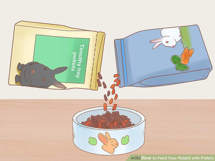 Step 10