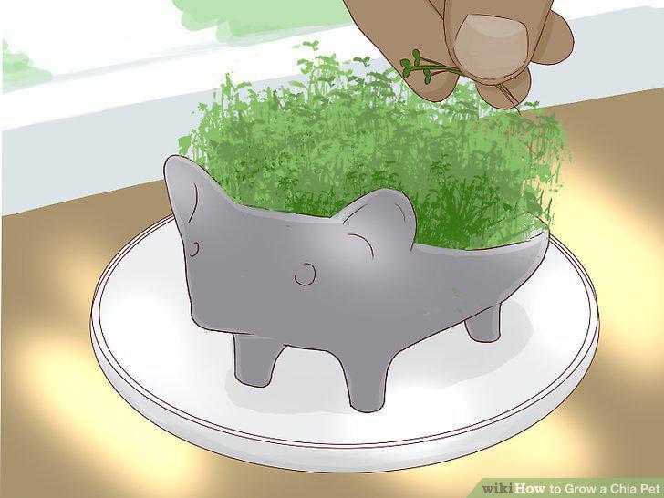 Step 13