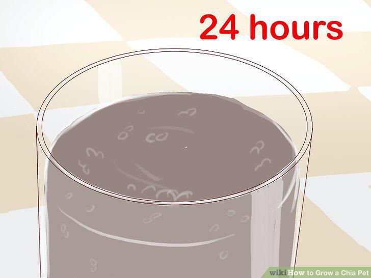 Step 4