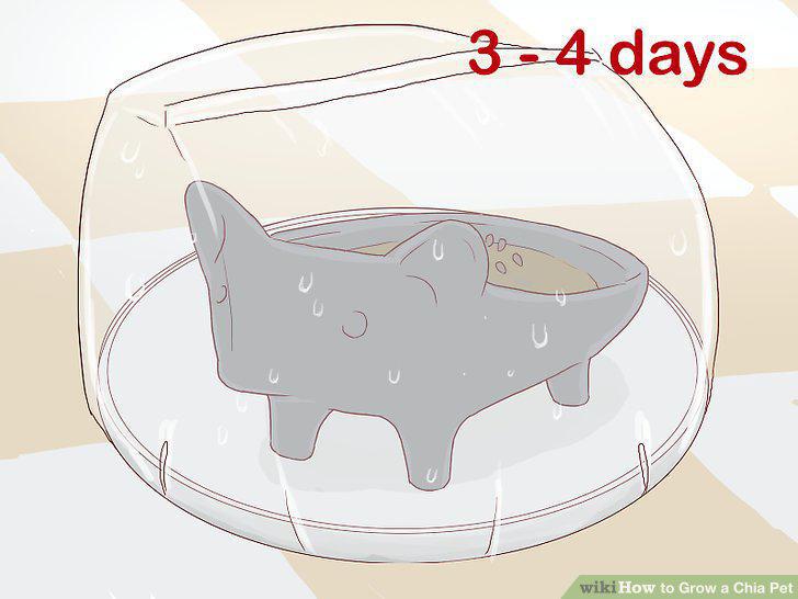 Step 7