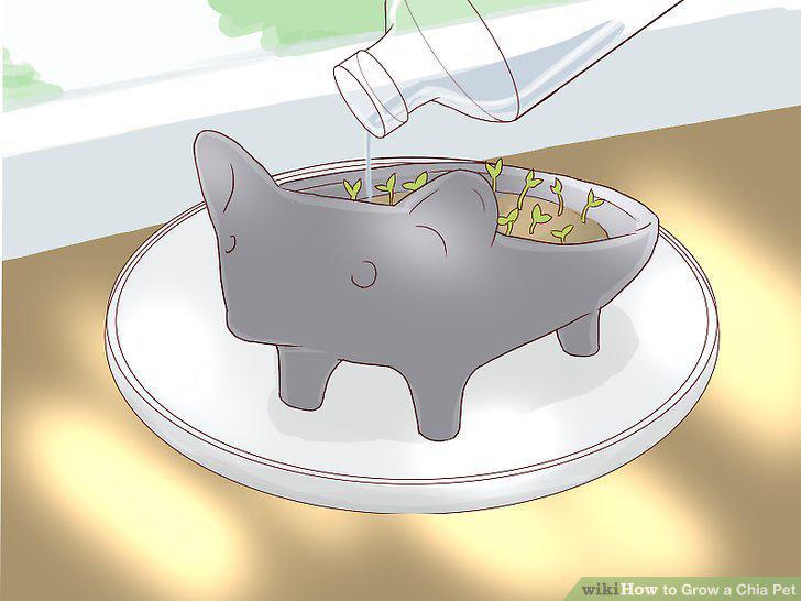 Step 9