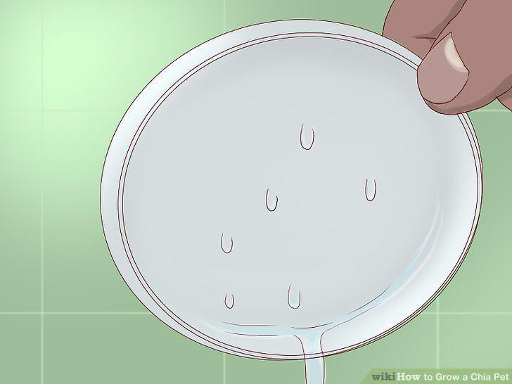 Step 10