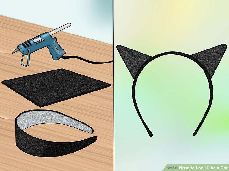 Step 5