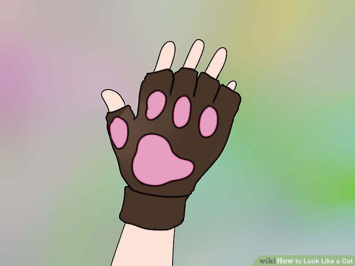 Step 7