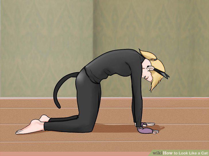 Step 10