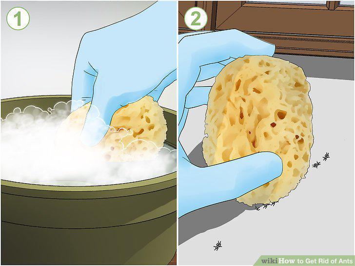 Step 2