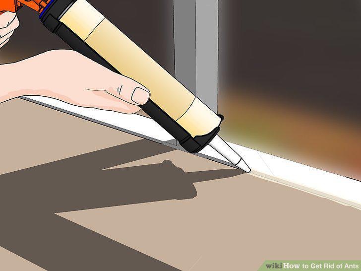 Step 13