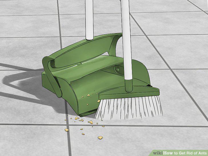 Step 15