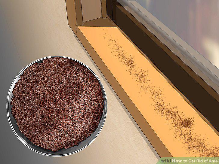 Step 17