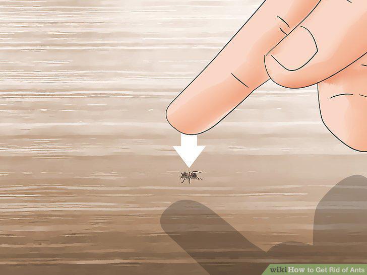 Step 18