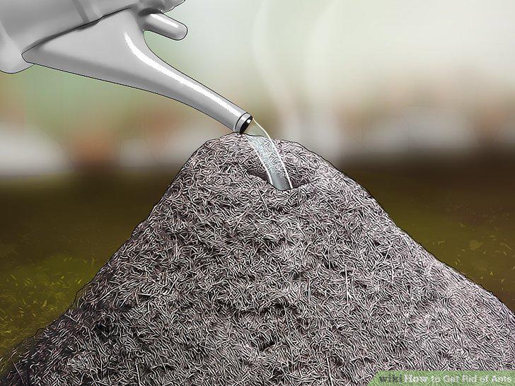 Step 10