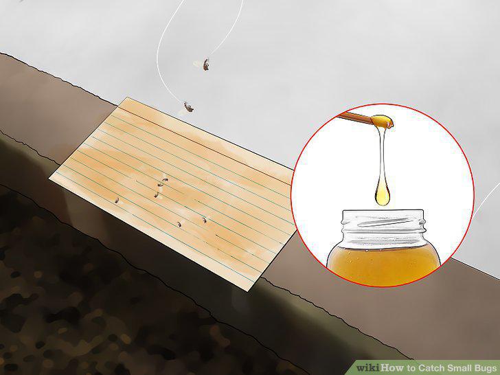 Step 11