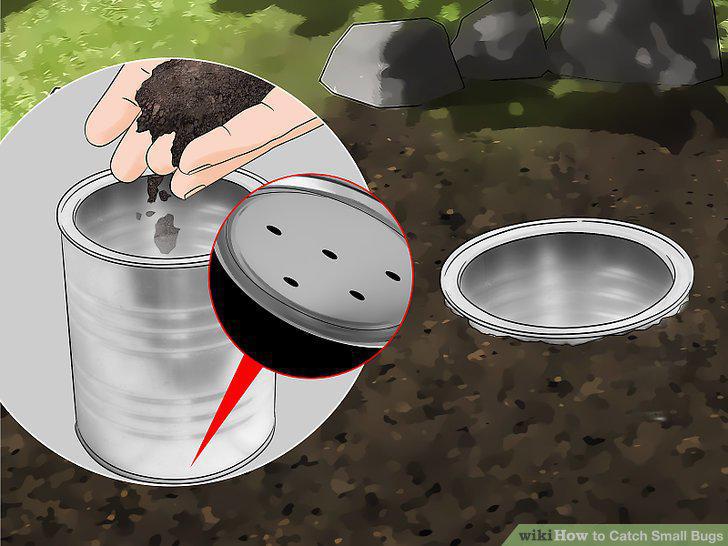Step 8